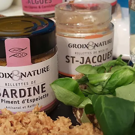 イビス スティルズ トルビアック ビブリオテーク